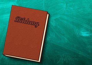 棕色、成长、书籍、剪贴画、艺术、插图、教育、黑板