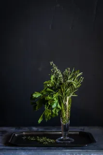 花瓶,陶器,罐子,植物,盆栽植物,花盆,草药,花卉 花瓶,陶器,罐子,植物,盆栽植物,花盆,草药,花卉