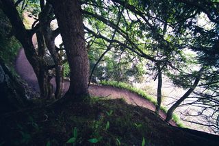 克罗地亚，plitvička jezera，plitvice湖（plitvička jezera），瀑布，斯蒂尔，plitvice，克罗地亚，森林覆盖