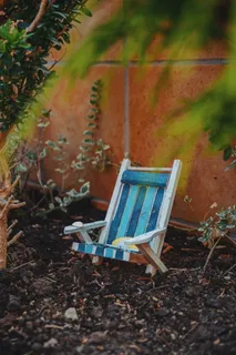 植物旁的白色木框阿迪朗达克椅子