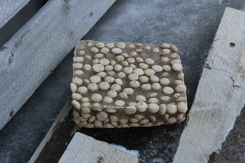 狗粮,霜冻,冰,冷冻狗粮,狗,挪威,斯瓦尔巴特,隆年 狗粮,霜冻,冰,冷冻狗粮,狗,挪威,斯瓦尔巴特,隆年