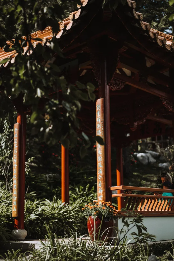 树荫、小屋、小屋、棚屋、树木、植物、花朵、室外