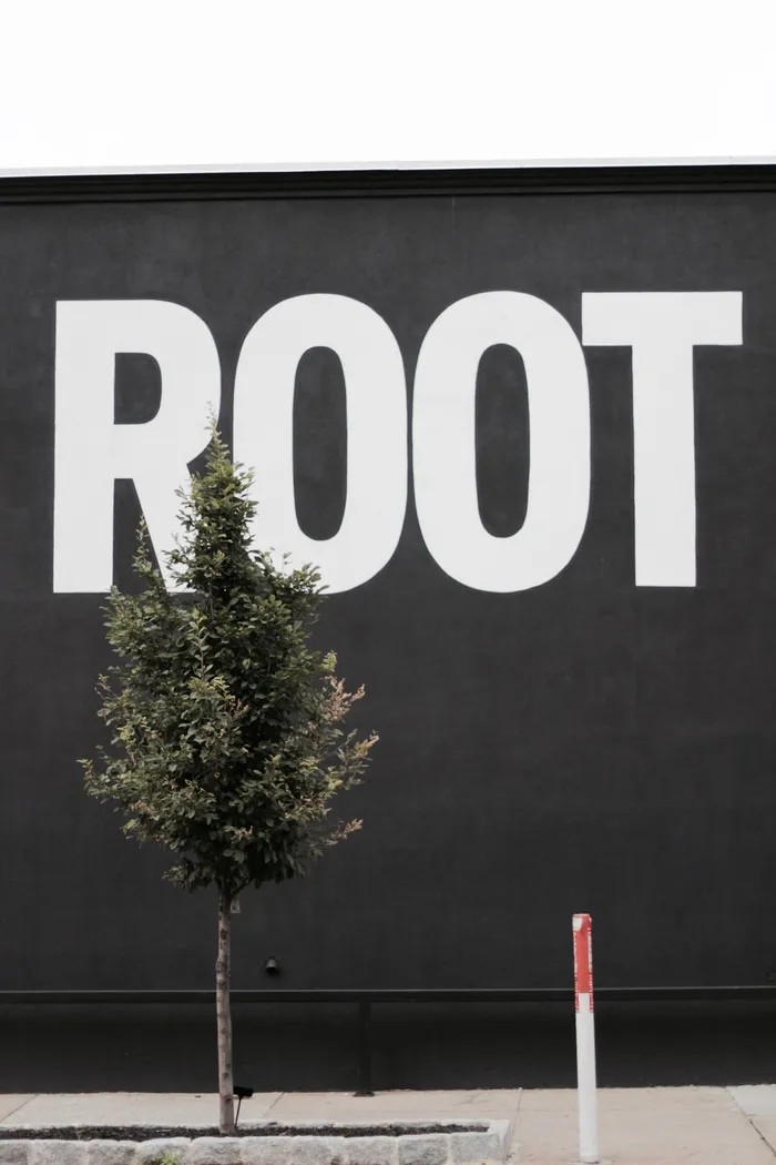 美国，威廉姆斯堡，布鲁克林，根，树，城市，文本，通信