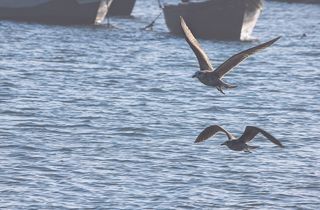 摩洛哥, asilah, 海滩, 摄影, Onair, 空气, 光, 摘要