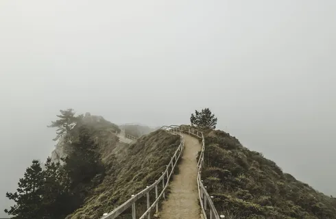 缪尔海滩, 美国, 缪尔海滩俯瞰, 空灵, 了望, 穆迪, 鬼, 有雾 缪尔海滩, 美国, 缪尔海滩俯瞰, 空灵, 了望, 穆迪, 鬼, 有雾