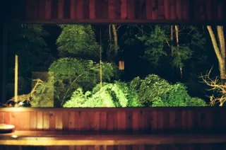 植物, 门廊, 户外, 天井, 花瓶, 陶器, 罐子, 盆栽