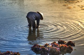 在水体中向地面弯曲的人
