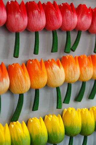 附件，冰箱，磁铁，磁性，物体，红色，形状，花