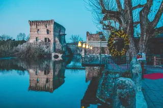 棕色建筑熊水体