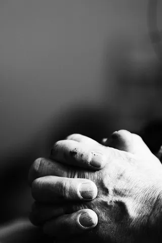 手，人，人，人，男性，人的手，手，人体部位