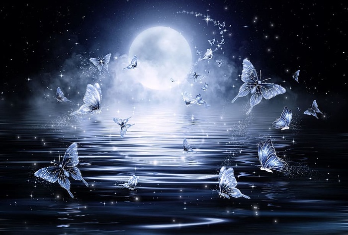蝴蝶，身体，水，夜间插图，蝴蝶，星星，夜晚，幻想