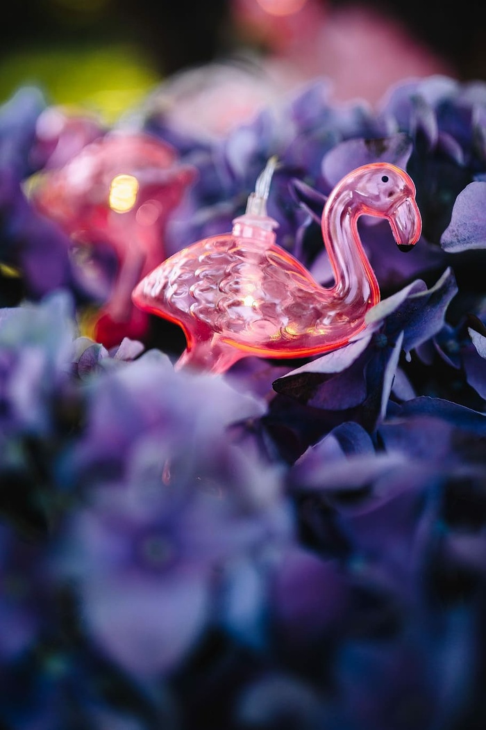 火烈鸟淡花环和粉色花朵