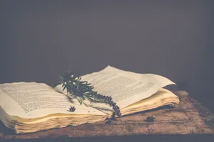 打开书本上绿色植物的乌贼摄影