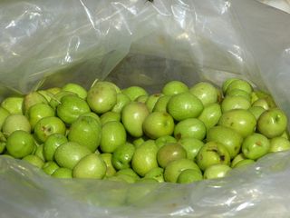 橄榄，绿色，绿色橄榄，核果，市场，绿色，食品和饮料，食品