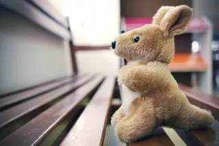 袋鼠, 泰迪熊, 可爱, 泰迪熊, 毛绒玩具, 哺乳动物, 泰迪熊, 动物