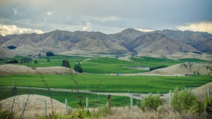 山，田野，葡萄园，田野，风景，山脉，天空，云