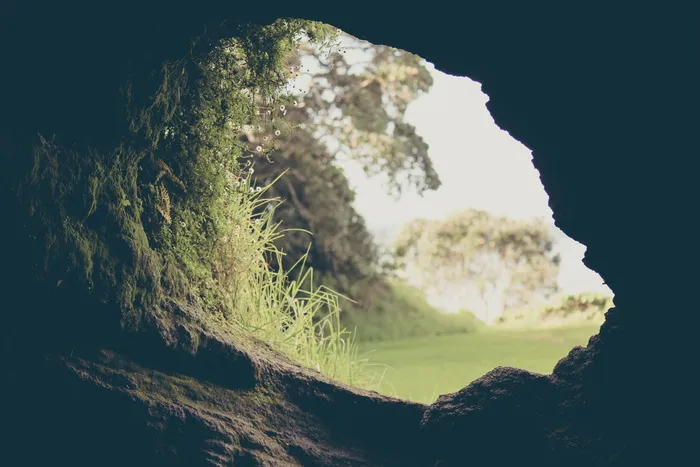 新西兰，north head，devenport，nz，green，black，奥克兰，hole
