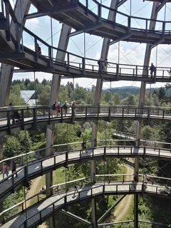 waldwipfelpfad，建筑，巴伐利亚森林，建筑结构，人群，天，真人，自然