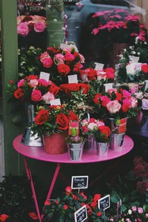 花,花,玫瑰,玫瑰,市场,巴黎,法国,巴黎 花,花,玫瑰,玫瑰,市场,巴黎,法国,巴黎