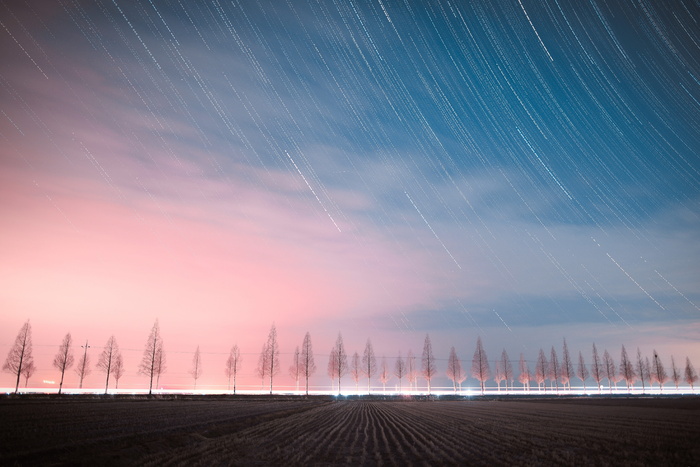 夜空、夜景、星光、韩国、道路、星星、树木、4k壁纸