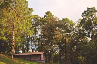 住房、户外、自然、植物、乡村、普韦布洛·努埃沃、琳达·维斯塔大学、墨西哥