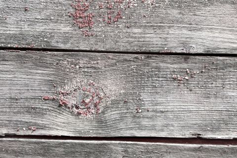 树，灰色，背景，纹理，老树，旧，木材，栅栏