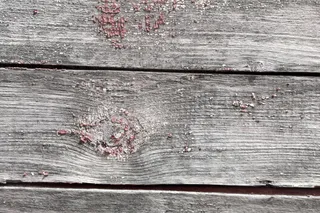 树，灰色，背景，纹理，老树，旧，木材，栅栏