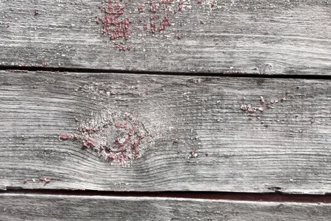 树,灰色,背景,纹理,老树,旧,木材,栅栏 树,灰色,背景,纹理,老树,旧,木材,栅栏