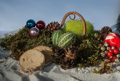 背景、圣诞节、秋天、装饰、创意、地图、装饰、庆祝