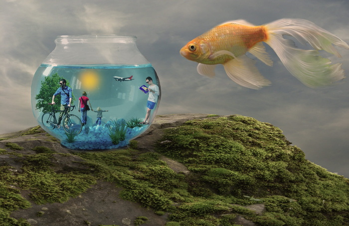 水，鱼，自然，水族馆，海洋，幻想，人，动物主题