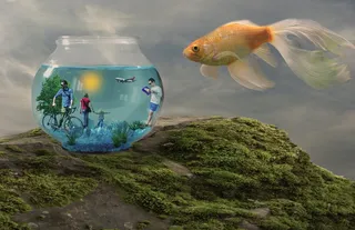 水，鱼，自然，水族馆，海洋，幻想，人，动物主题