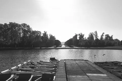 黑白的，小船，针叶树，码头，冷杉树，湖泊，码头，松树