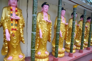 佛陀、宗教、寺庙、文化、传统、雕像、崇拜、黄金