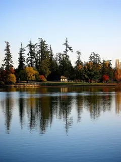 蓝天，针叶树，黎明，白天，秋天，草地，家，房子