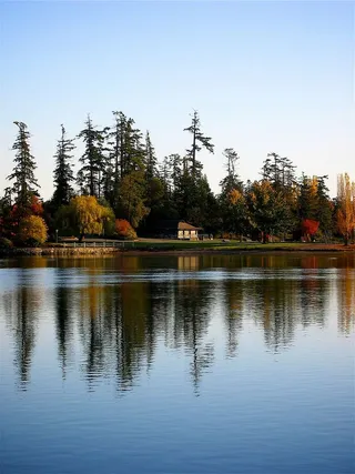 蓝天，针叶树，黎明，白天，秋天，草地，家，房子