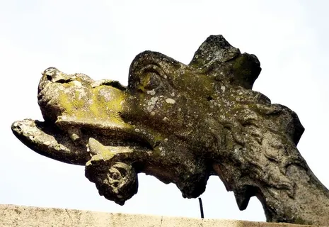 龙、雕塑、法国、皮埃尔、罗恩、农场、博若莱、恐龙