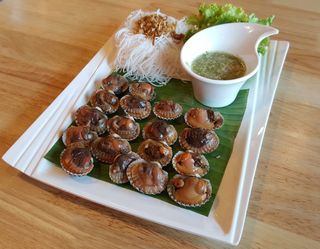 扇贝，海鲜，食品，美味，贝类，食品和饮料，餐桌，新鲜度