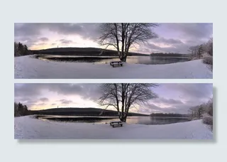 树、湖、冬天、冰、雪、自然、景观、水