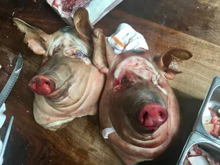 美国，旧金山，trou normand，猪头，蓝眼睛，屠夫，charcuterie，刀