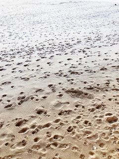 葡萄牙，科拉雷斯，马萨岛，沙滩，pegadas，夏天，脚印，梯度