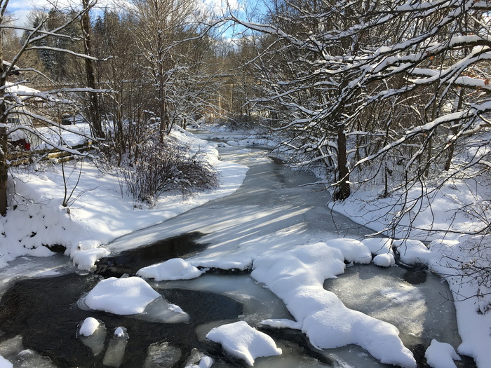 冬天，雪，风景，河流，自然，冰，树，低温