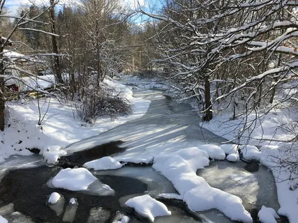 冬天,雪,风景,河流,自然,冰,树,低温 冬天,雪,风景,河流,自然,冰,树,低温