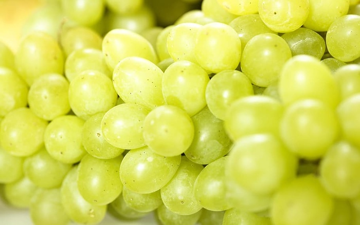 ，葡萄，葡萄藤，绿色，生长，生长，生长，收获