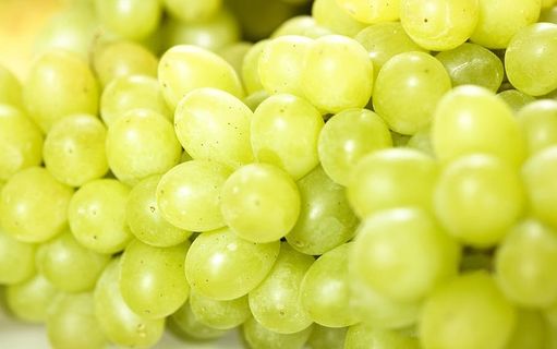 ，葡萄，葡萄藤，绿色，生长，生长，生长，收获