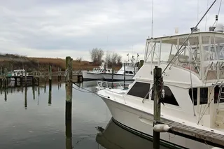 渔船停泊在新泽西州普莱森特的一个码头上。