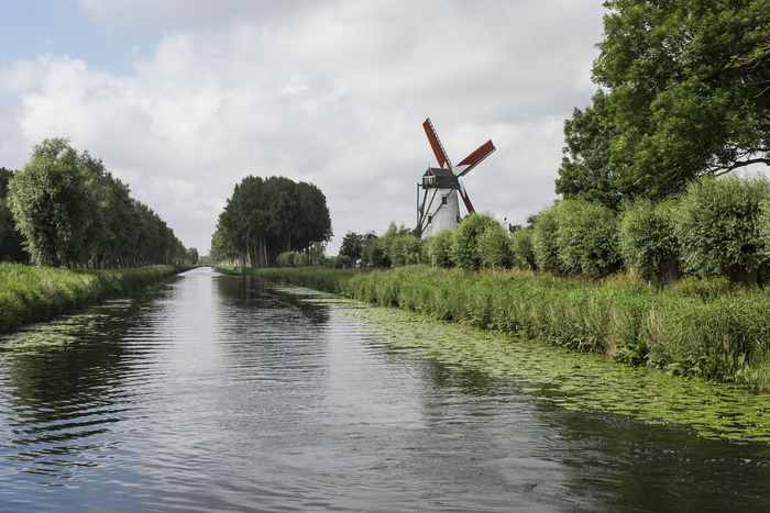 damme bruges、channel、light、nature、mill、water、plant、tree