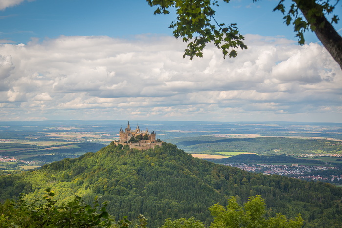 swabian alb，hohenzollern，hohenzollern castle，alb eaves，hechingen，eaves，castle，tree