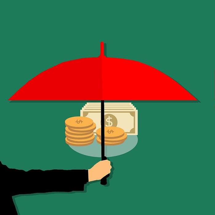 货币投资保护伞图解