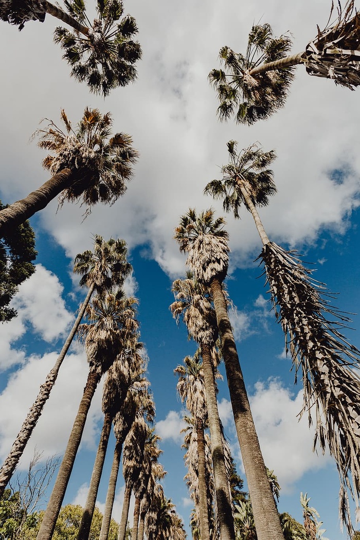 葡萄牙里斯本贝伦热带植物园