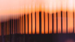 剪影照片，剪影，照片，方案，轮廓，光，影，日落